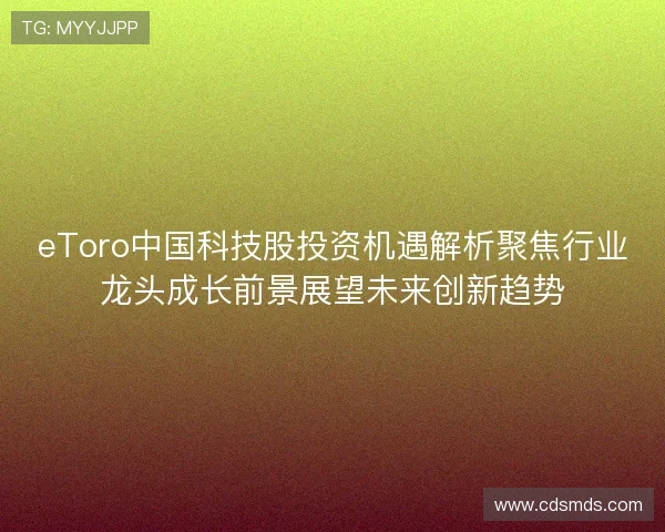 eToro中国科技股投资机遇解析聚焦行业龙头成长前景展望未来创新趋势 eToro中国科技股投资机遇解析聚焦行业龙头成长前景展望未来创新趋势